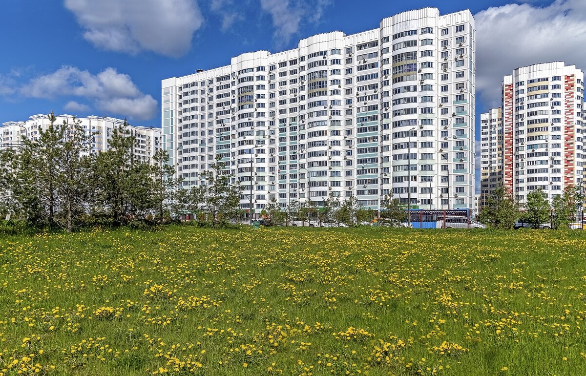 Пора одуванчиков - Валерий Иванович Пора одуванчиков - Валерий Иванович