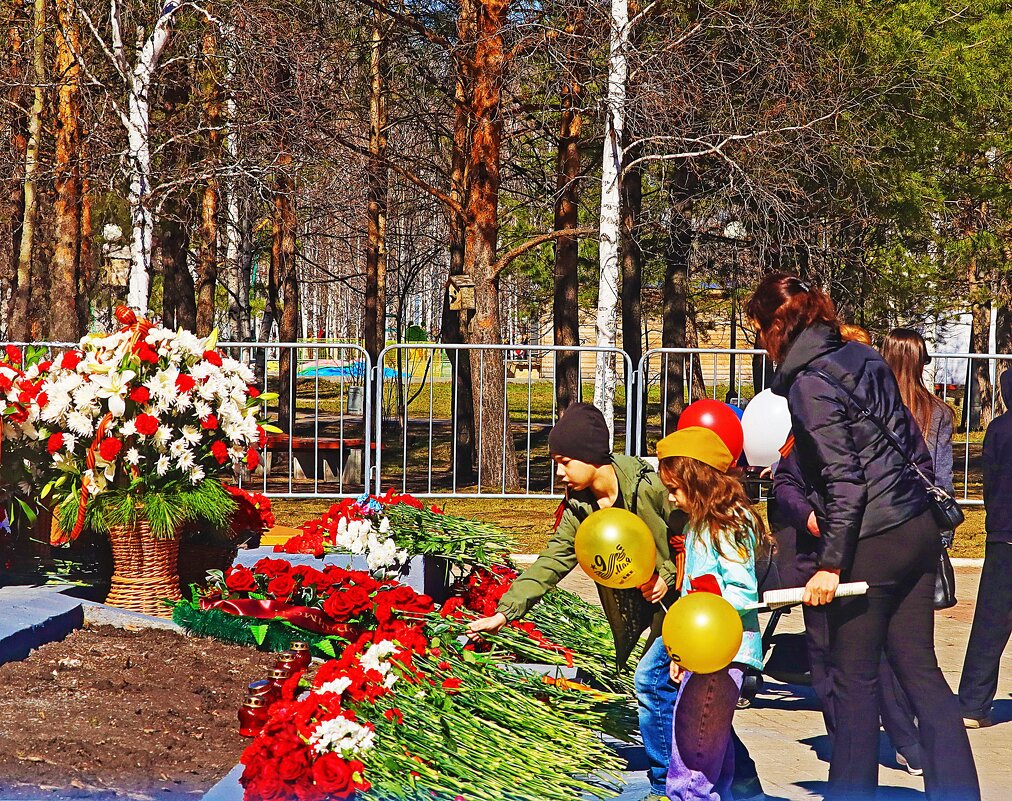 Май..Красные гвоздики к вечному огню! - Владимир 