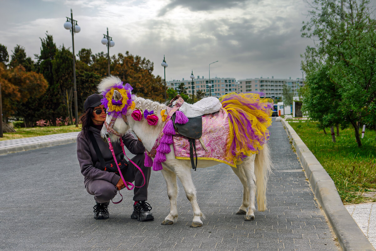 Принарядили к празднику. - Анна Пугач