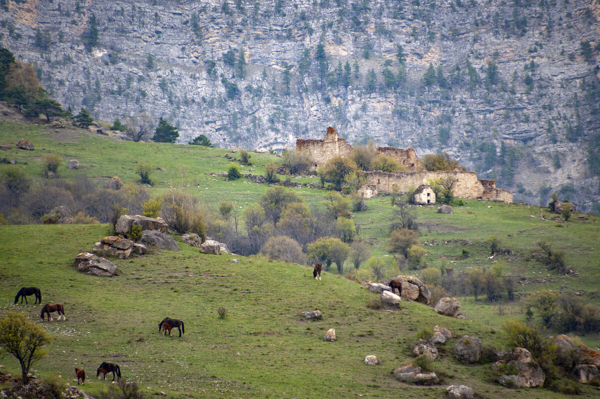 Ингушетия. Джейрахский район. Старая крепость Тори - Gen Ингушетия. Джейрахский район. Старая крепость Тори - Gen