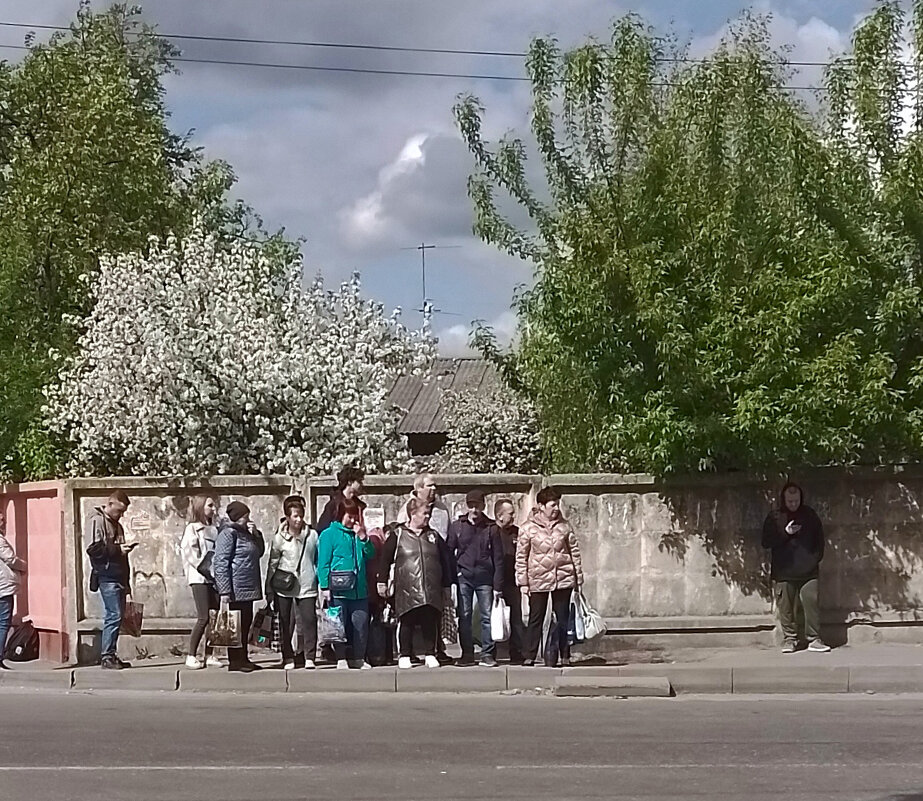 *** - Валентина Береснева *** - Валентина Береснева