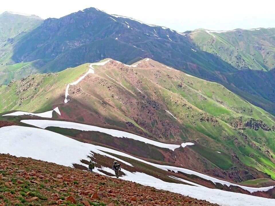 НАШИ ПРОГУЛКИ. - Виктор Осипчук