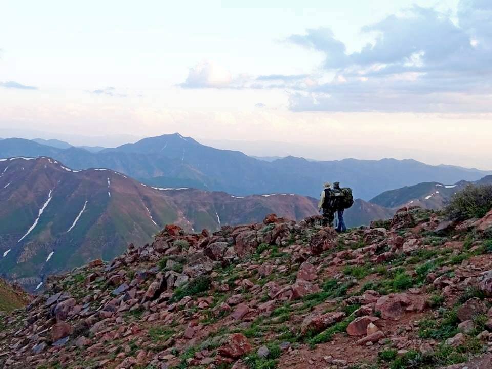 НАШИ ПРОГУЛКИ. - Виктор Осипчук