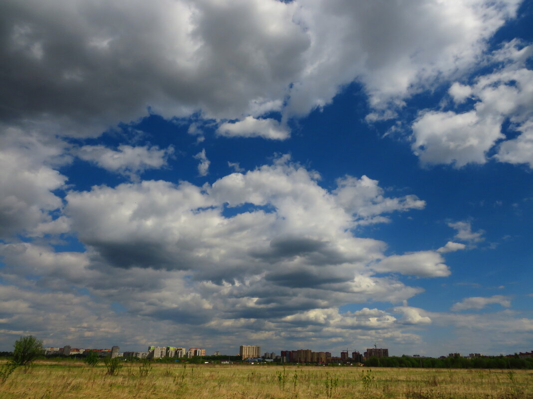 Небо над полями - Андрей Снегерёв Небо над полями - Андрей Снегерёв