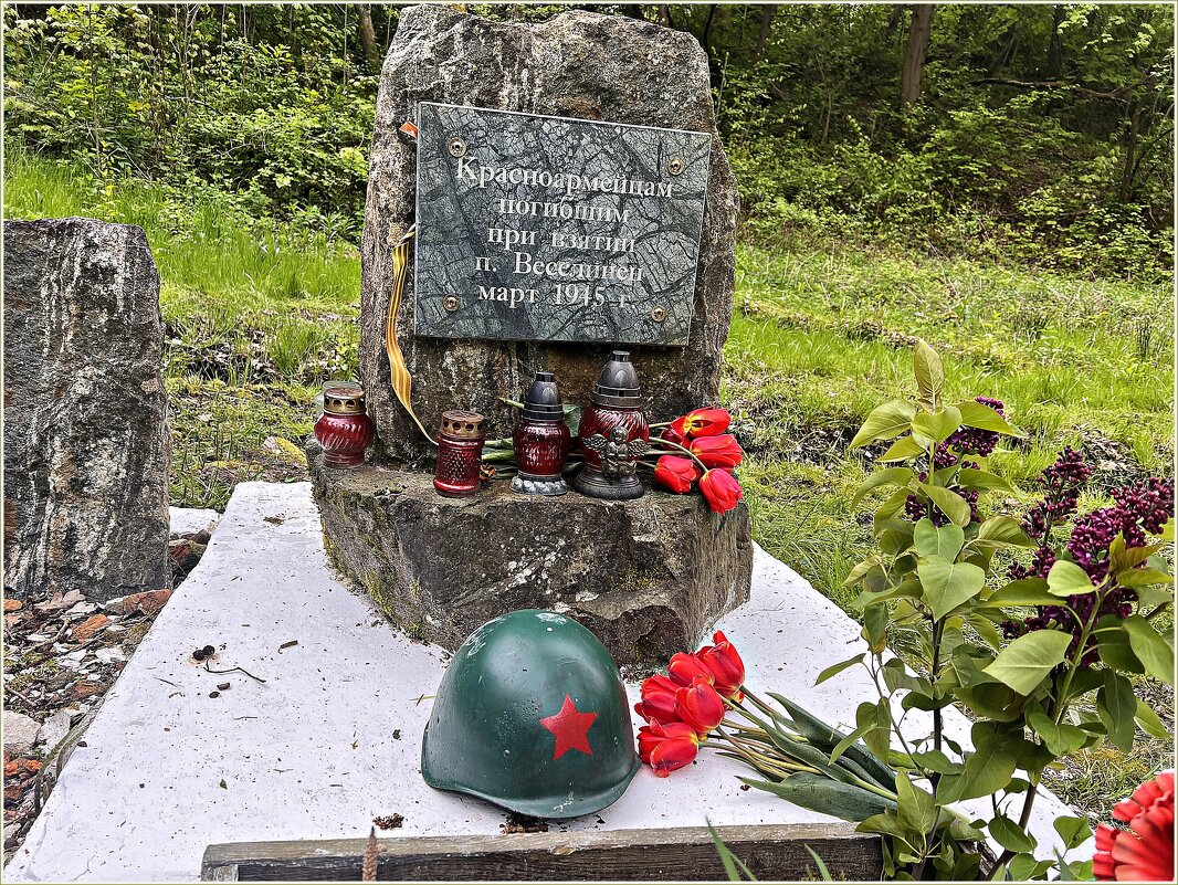 9 МАЯ,2025г. - Валерия Комова 9 МАЯ,2025г. - Валерия Комова