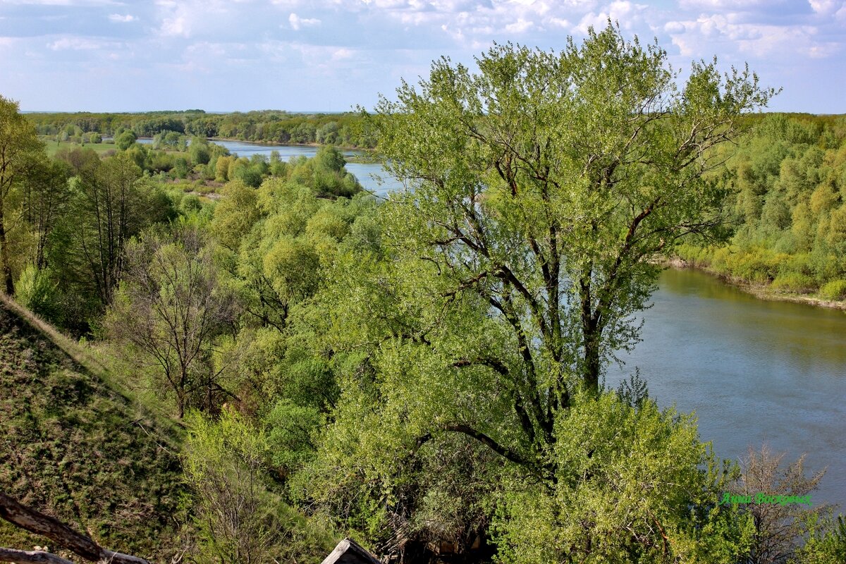 На моём любимом обрыве у Хопра. - Восковых Анна Васильевна 