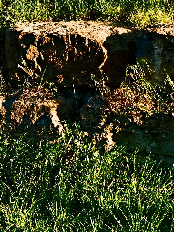 Весенние зарисовки 128 - Алексей Кузнецов Весенние зарисовки 128 - Алексей Кузнецов