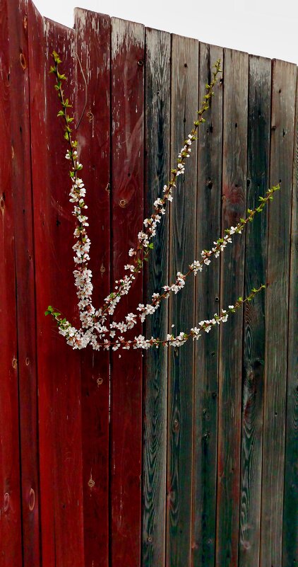 Дай пять) - Алексей Ильичёв