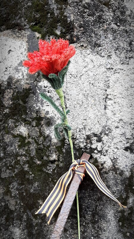 *** - Наталья Герасимова