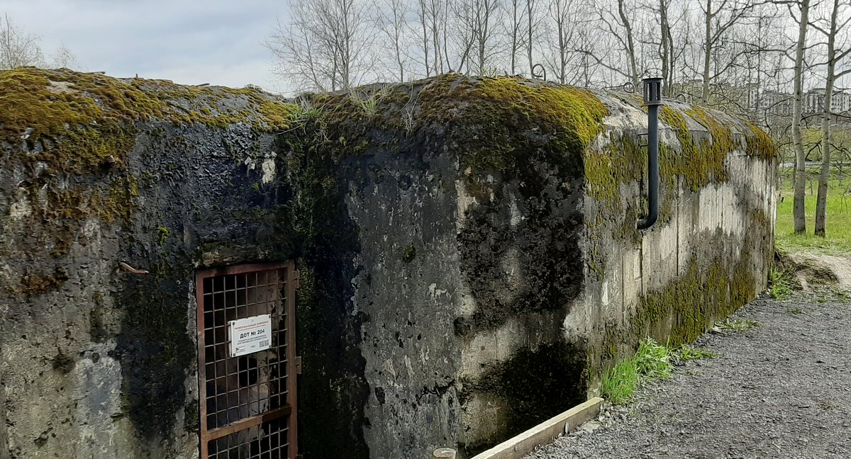 ДОТ N204 - Наталья Герасимова