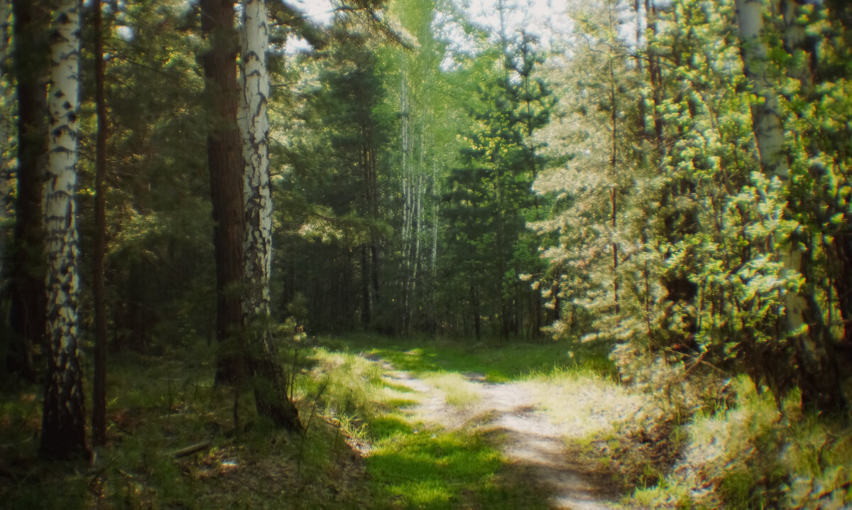 Май Чернолучье - Сергей Царёв Май Чернолучье - Сергей Царёв