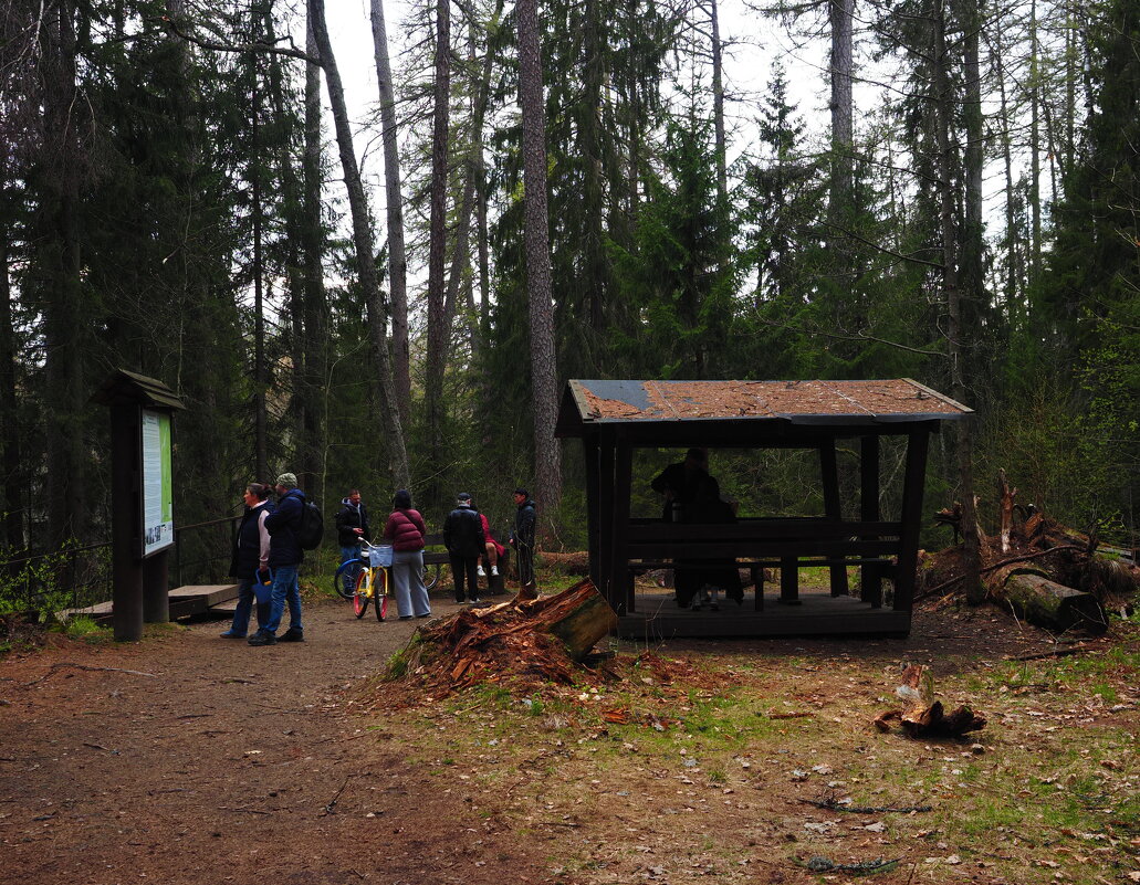 В Линдуловской роще - Магомед .