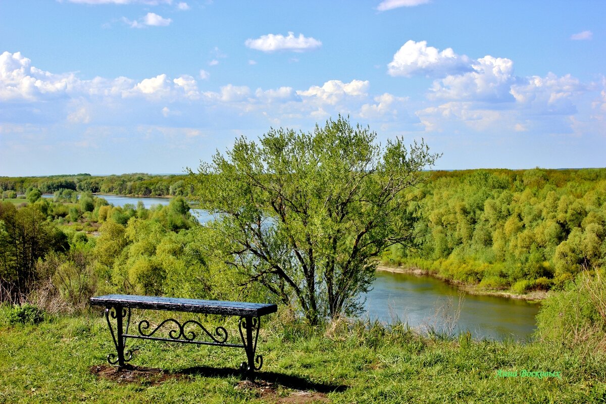 Какая то добрая душа поставила на моём любимом обрыве лавочки. - Восковых Анна Васильевна Какая то добрая душа поставила на моём любимом обрыве лавочки. - Восковых Анна Васильевна