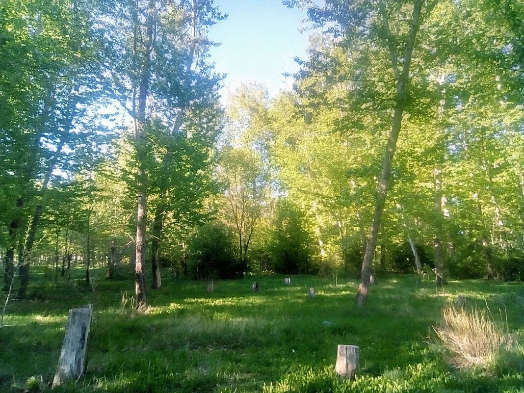 Был месяц май - Андрей Хлопонин