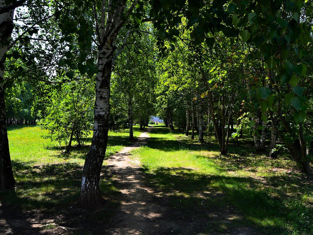 Чебоксары. Тропинка сквера клиники "Северной" летом. - Пётр Чернега Чебоксары. Тропинка сквера клиники "Северной" летом. - Пётр Чернега