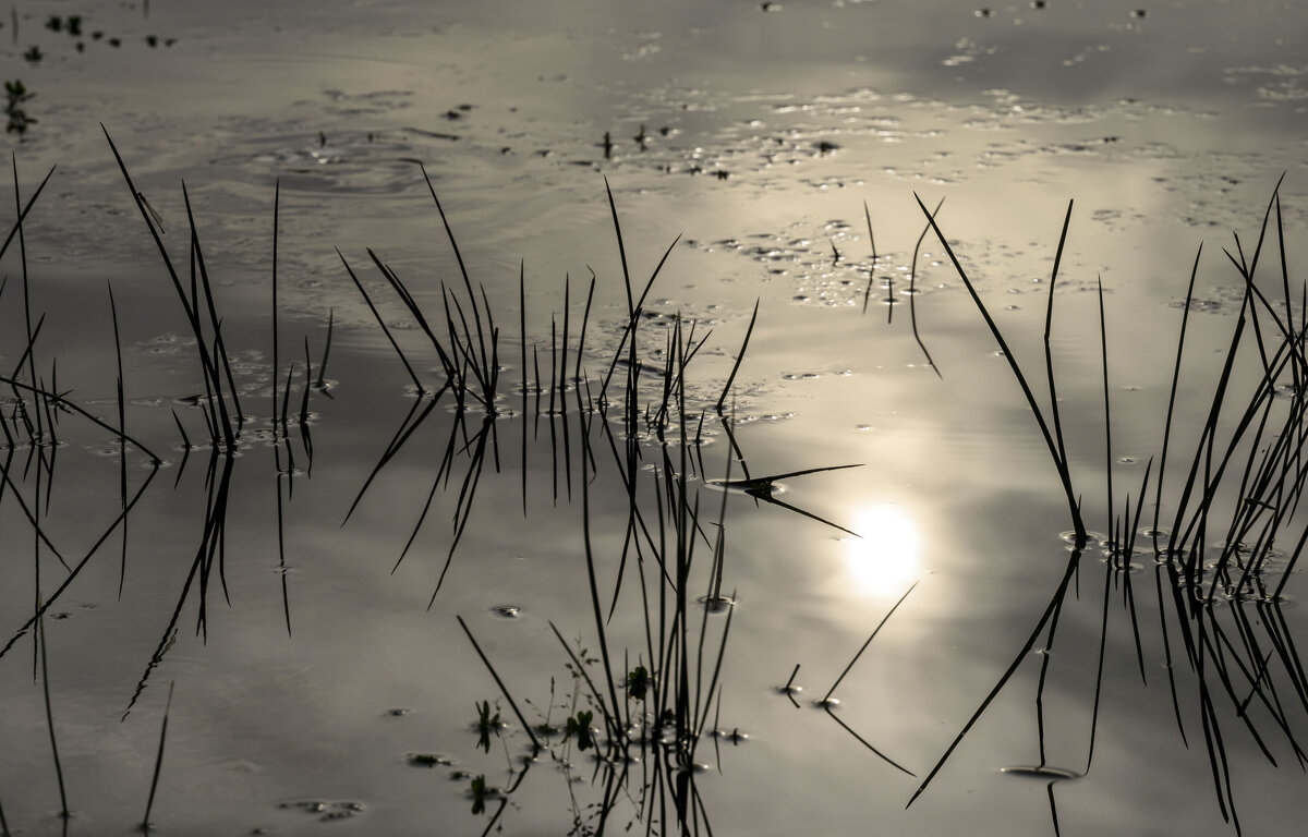 сижу...жду птичку... - Осень 