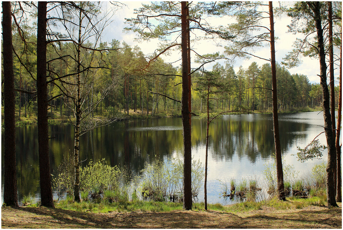 Пришла весна на озеро - Aleksandr Gal