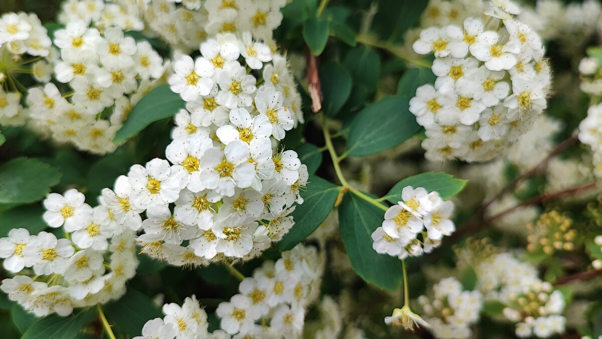 ,,, - Сергей Тимоновский ,,, - Сергей Тимоновский