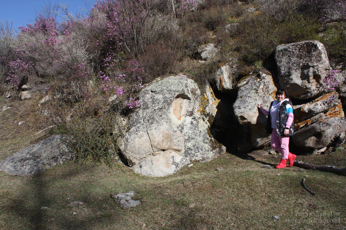 Каменная черепаха и каменная рыба - Yurik Syaglov Каменная черепаха и каменная рыба - Yurik Syaglov