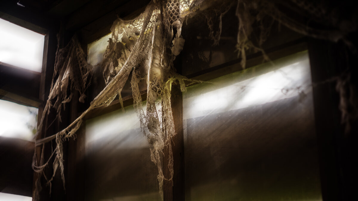 Дикий креатив - sorovey Sol