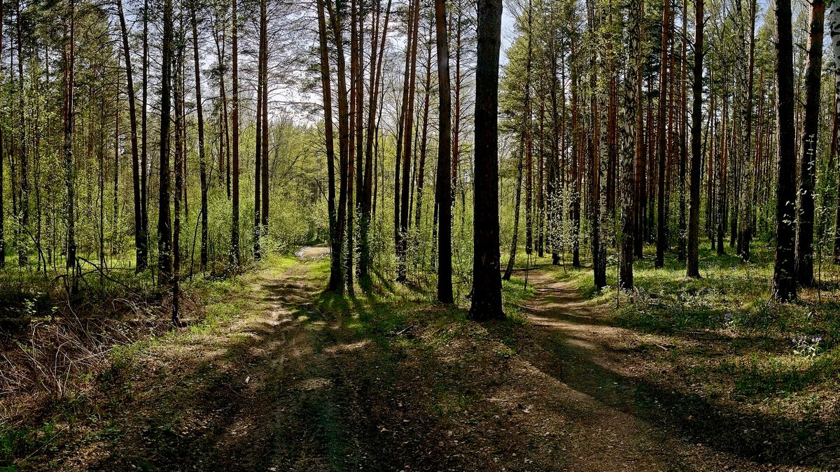 *** - Владимир 