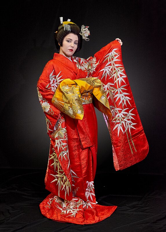 The beauty of national Japanese clothing - Author 