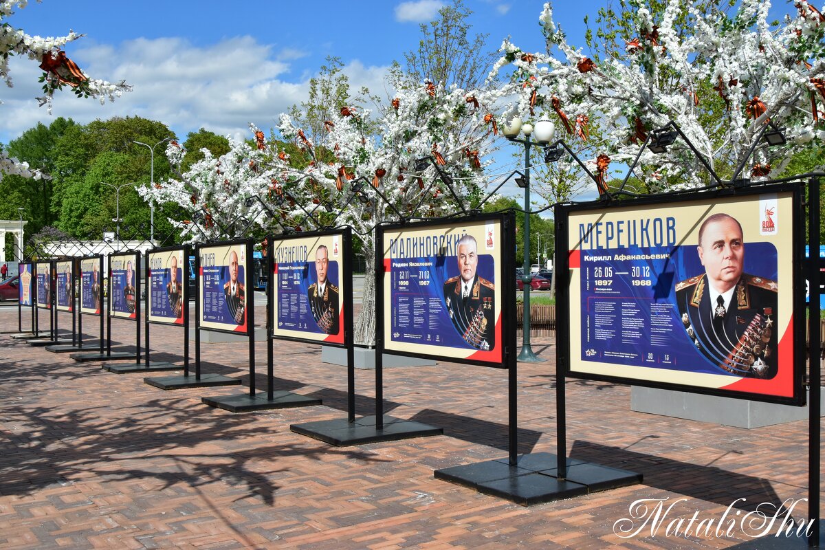 В парке. - Наталья Вязигина