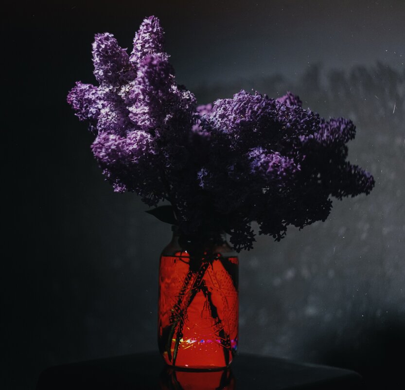 Сирень Великой Победы. - Анатолий Щербак