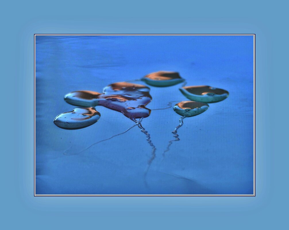 КАПЛИ... - Elvira E. 