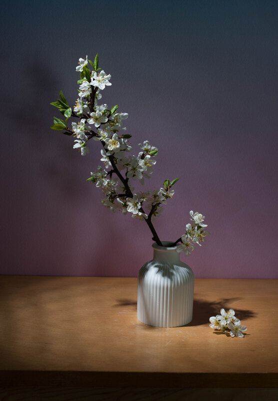 С терновником# - Анатолий Нецепляев