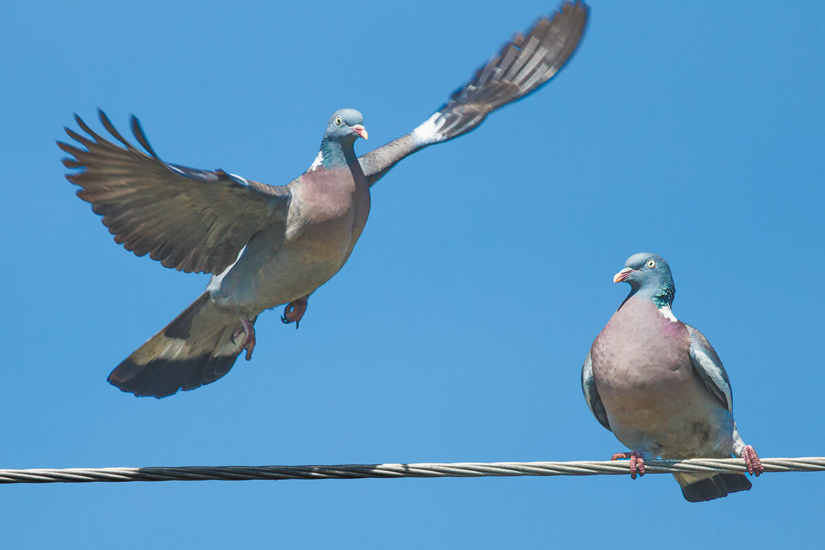 А вот и я - Георгий Кулаковский
