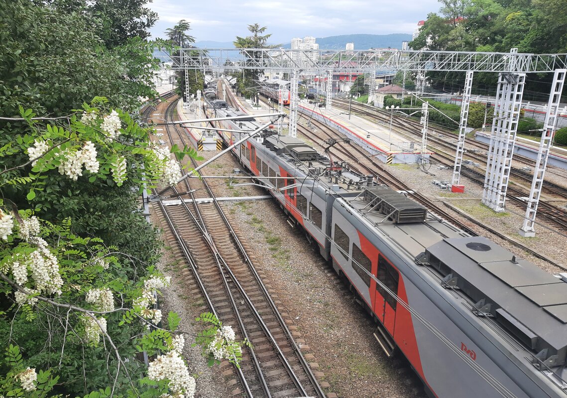 СОЧИ - Tata Wolf СОЧИ - Tata Wolf