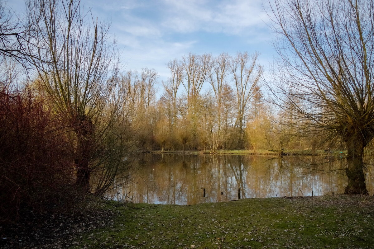 Мартовским вечером... - Николай Гирш Мартовским вечером... - Николай Гирш