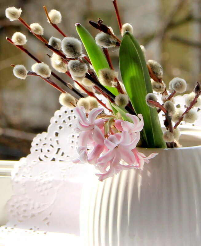 Натюрморт! - жанна нечаева