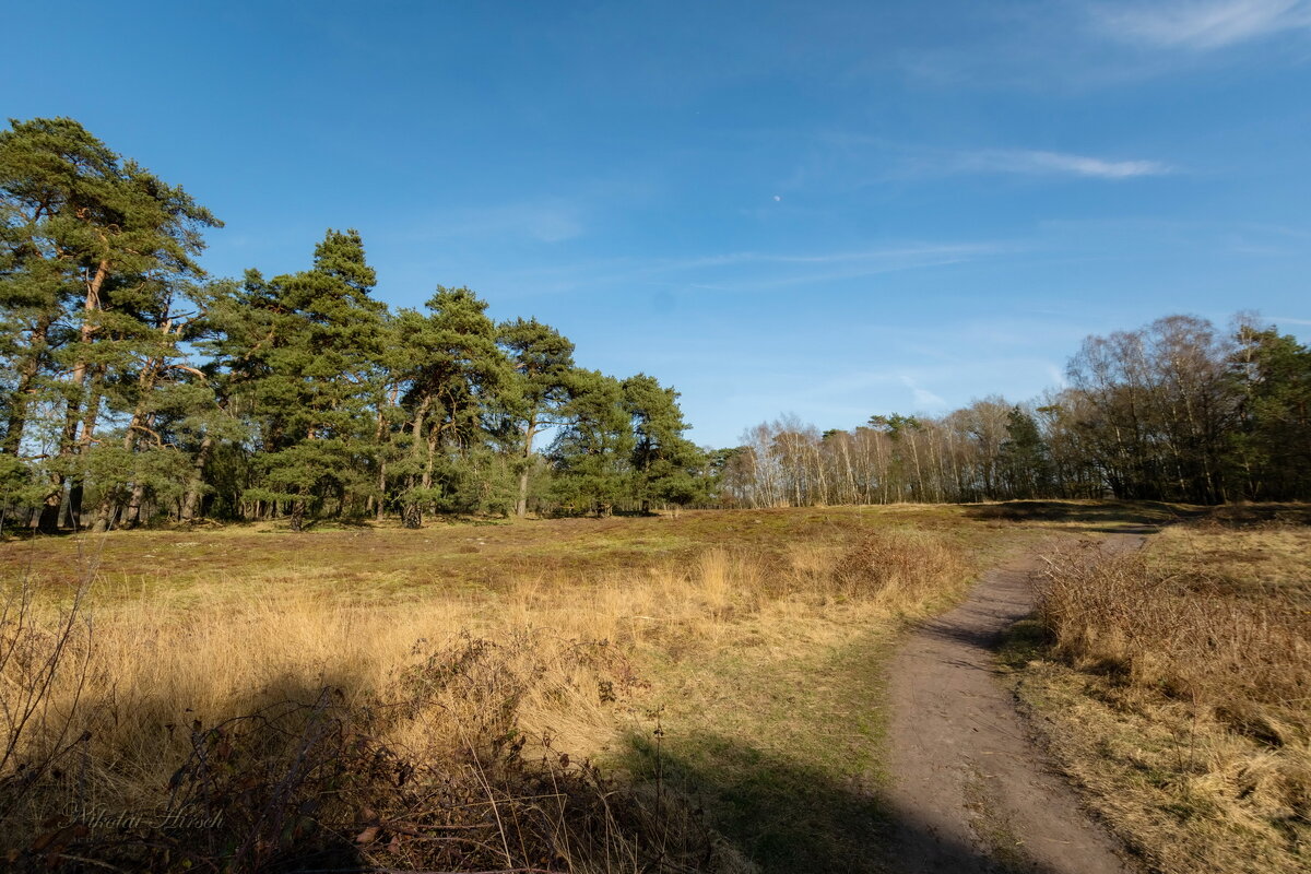 По лесопарку... - Николай Гирш По лесопарку... - Николай Гирш