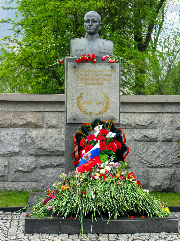 Бюст Полецкого Сергея Ивановича - Сергей Карачин Бюст Полецкого Сергея Ивановича - Сергей Карачин