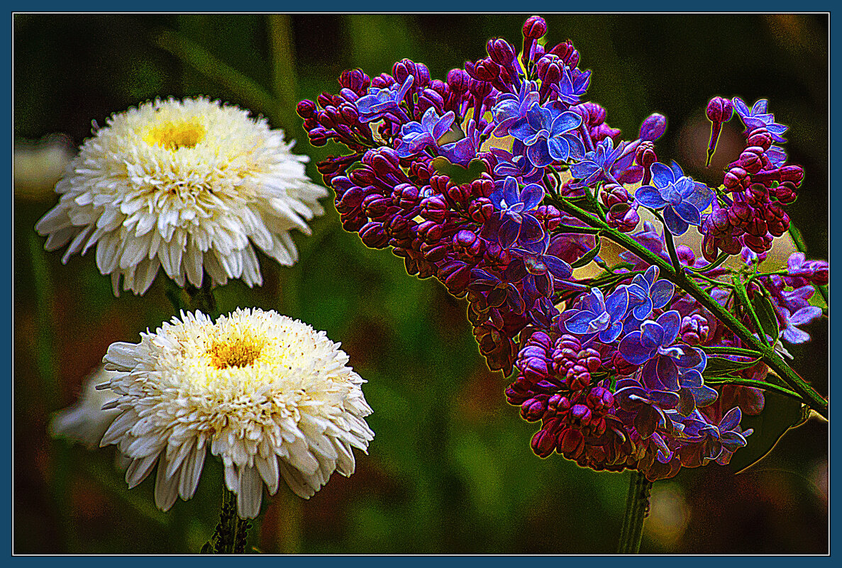 Фотозарисовка цветов - Владимир Кроливец Фотозарисовка цветов - Владимир Кроливец