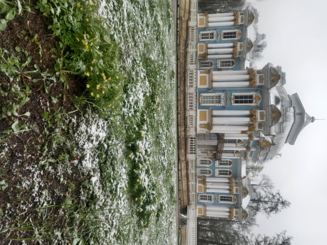 Снег в мае - Сапсан 