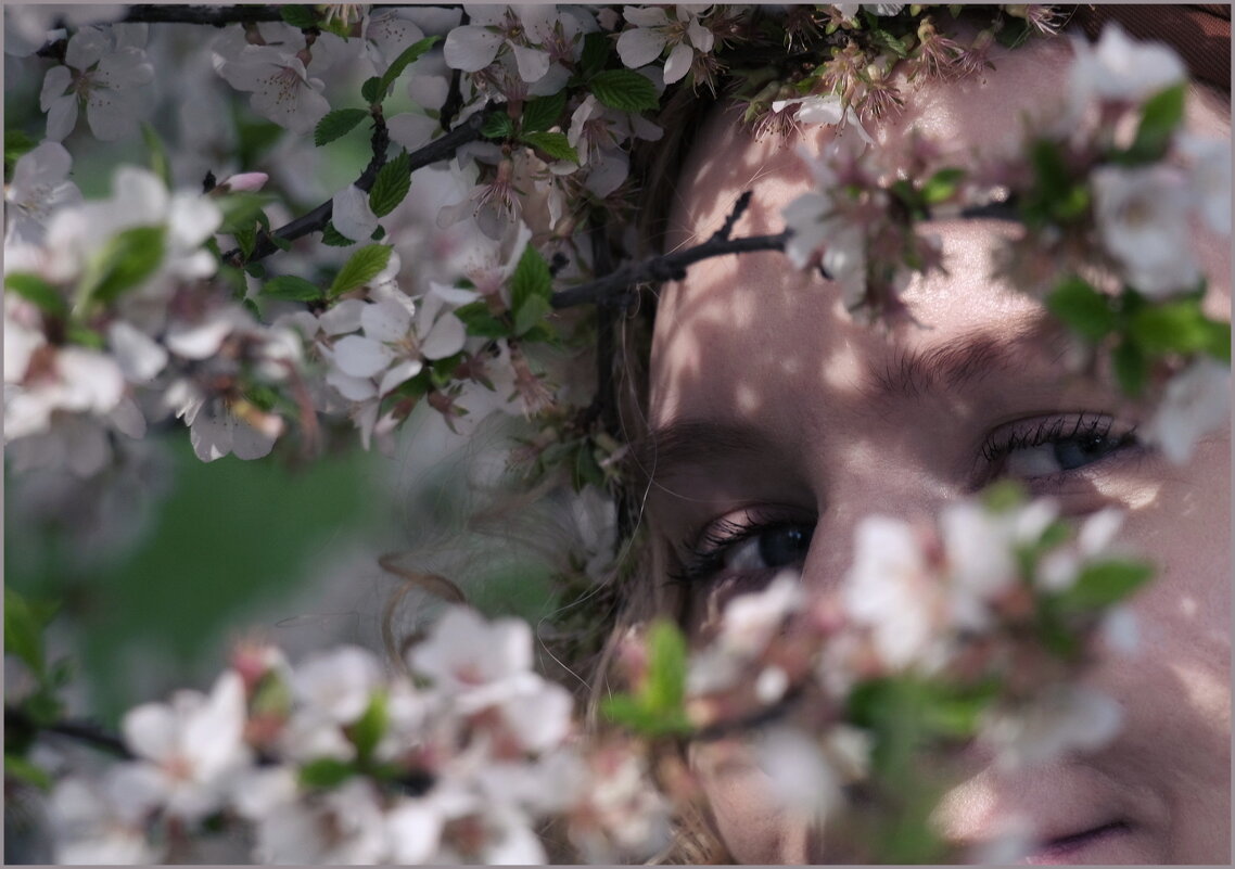 Цветы, весна, взгляд - Алексей Хвастунов