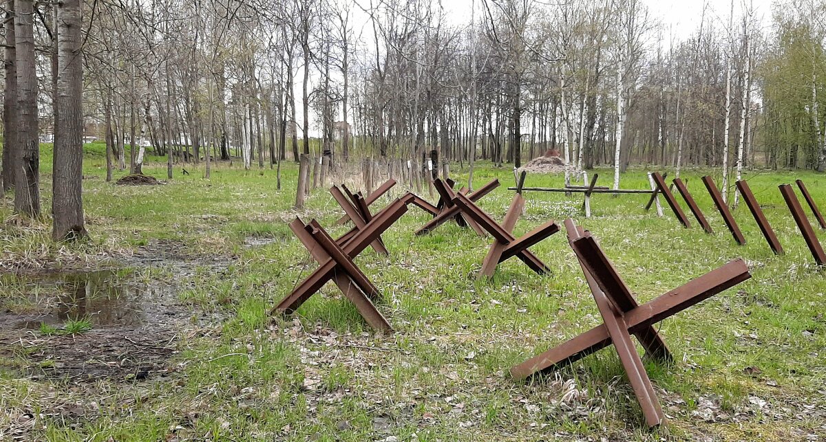 Участок оборонительного рубежа "Ижора" - Наталья Герасимова