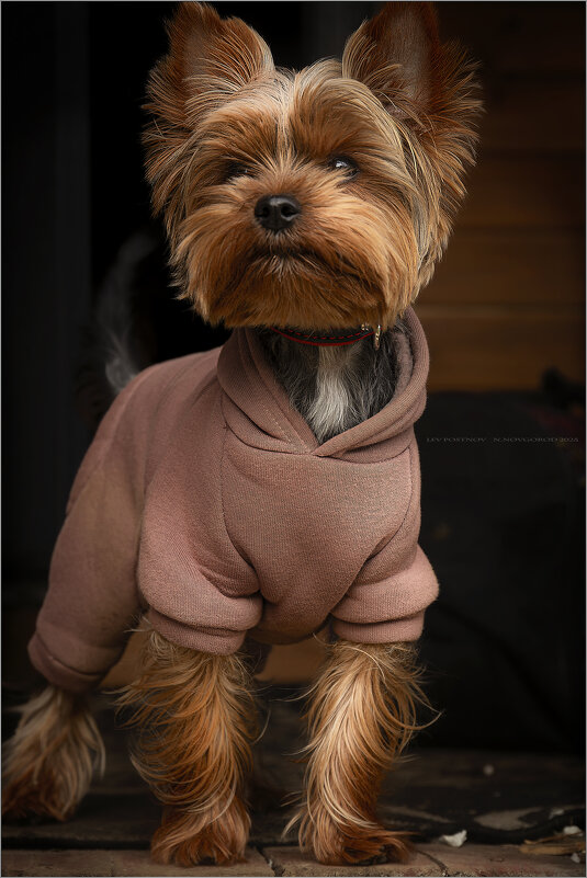 Тофик. - leff Postnov Тофик. - leff Postnov