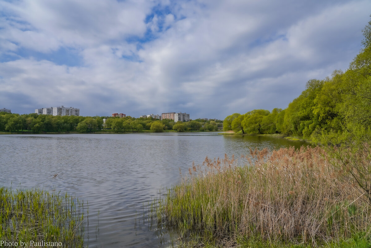 Весенний пруд... - Владимир Жданов Весенний пруд... - Владимир Жданов