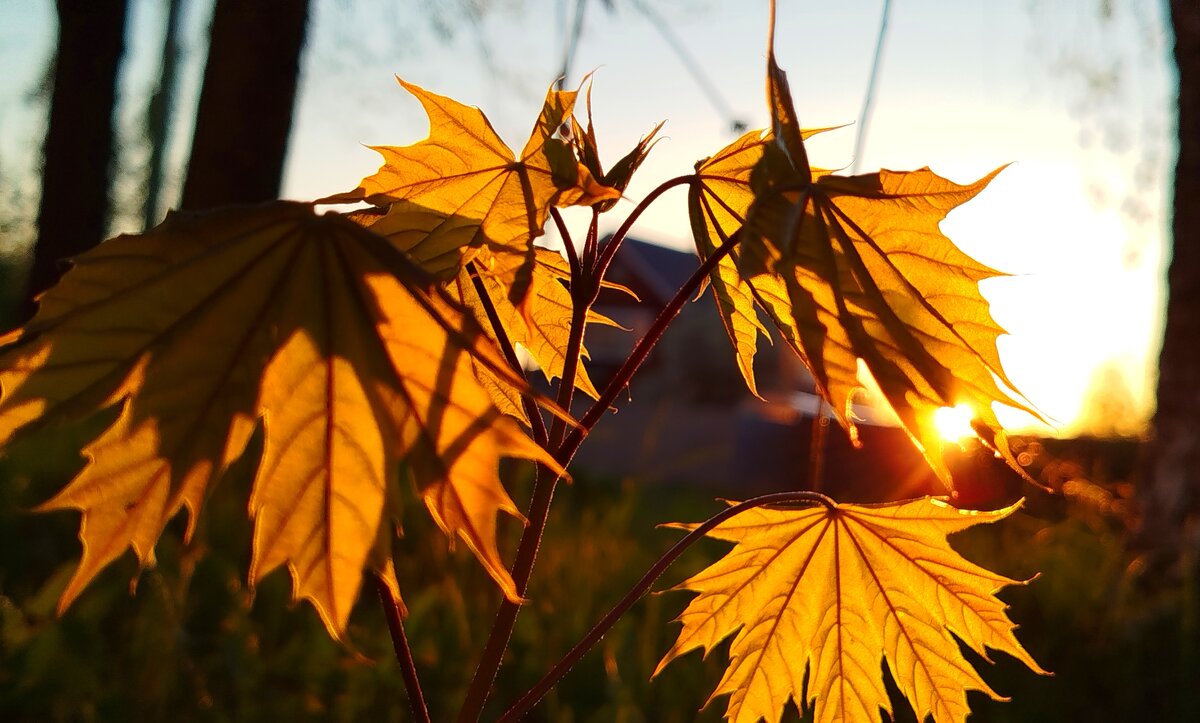 Вечернее время... - светлана льдокова Вечернее время... - светлана льдокова