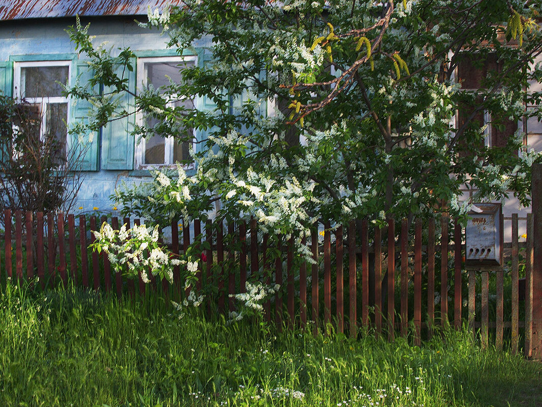 Весна - Наталья S