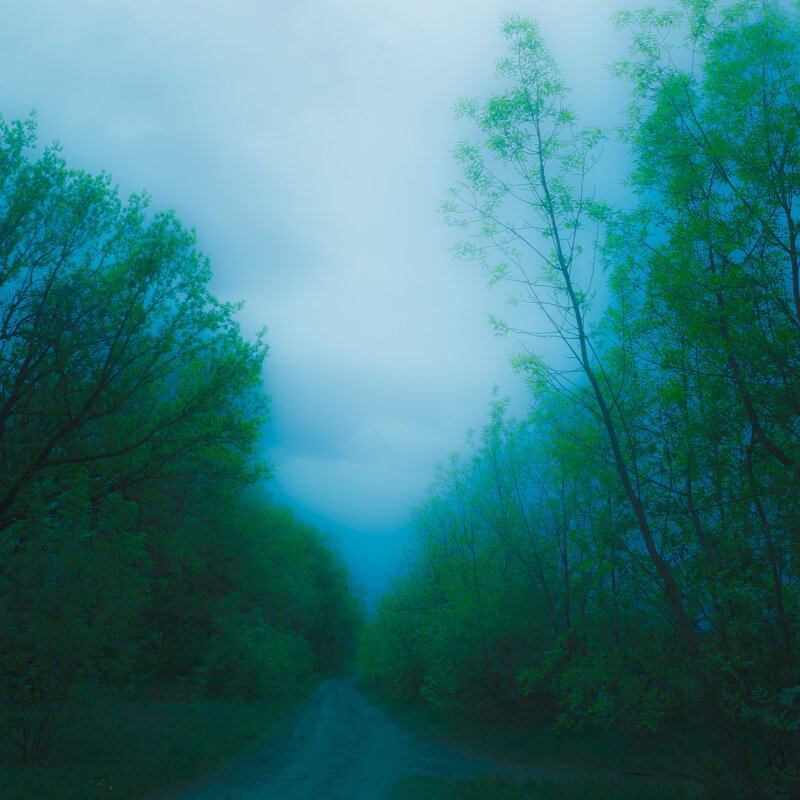 Пейзаж. - Валентина M