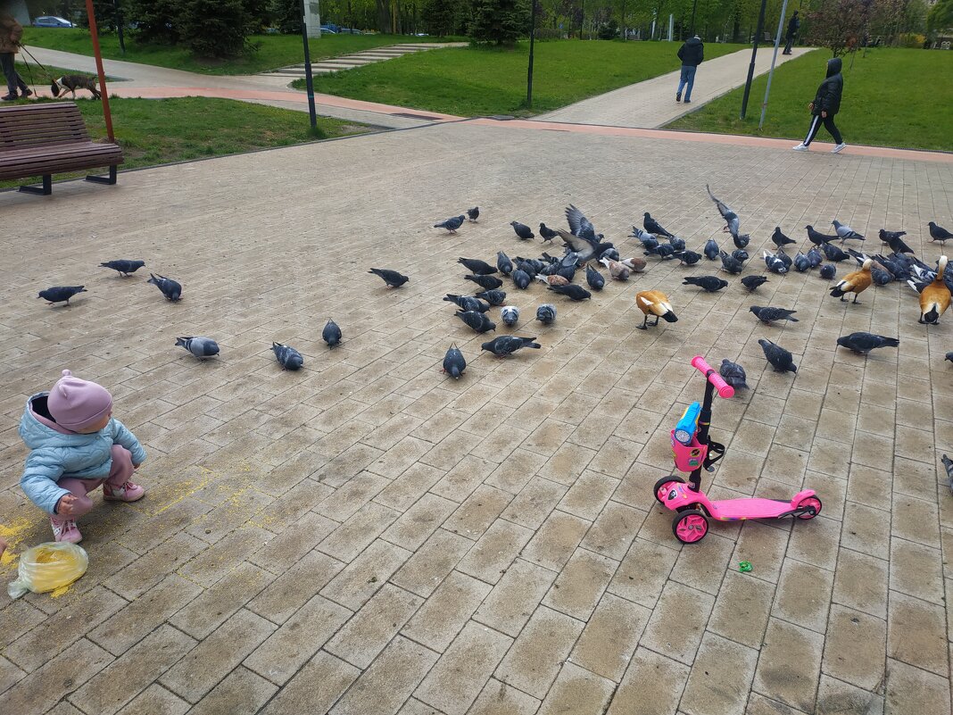 И всем хорошо - и ребенку, и птичкам, и снимающему, и смотрящим (надеюсь) - Андрей Лукьянов И всем хорошо - и ребенку, и птичкам, и снимающему, и смотрящим (надеюсь) - Андрей Лукьянов