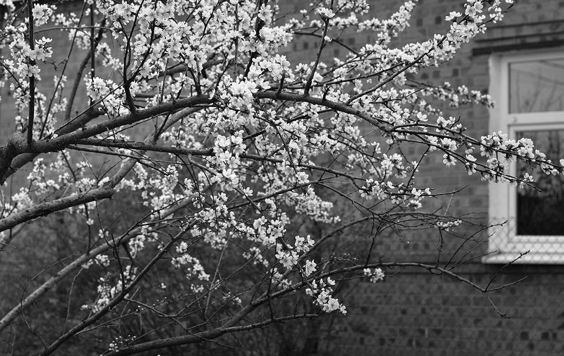 Под окошком - Наталья S