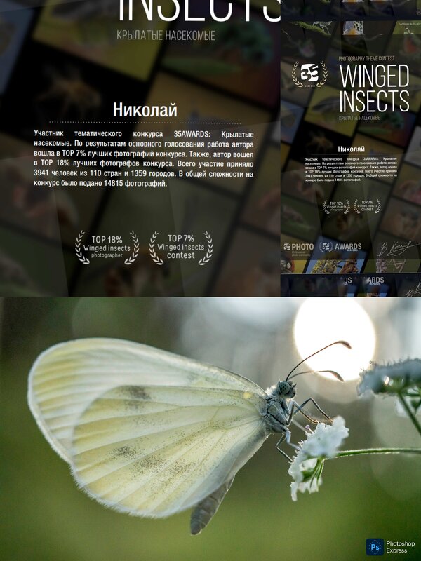 *** - Николай С