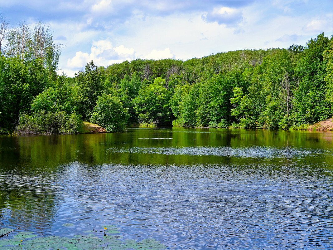 Чебоксары. Пруд Ботанического сада. - Пётр Чернега