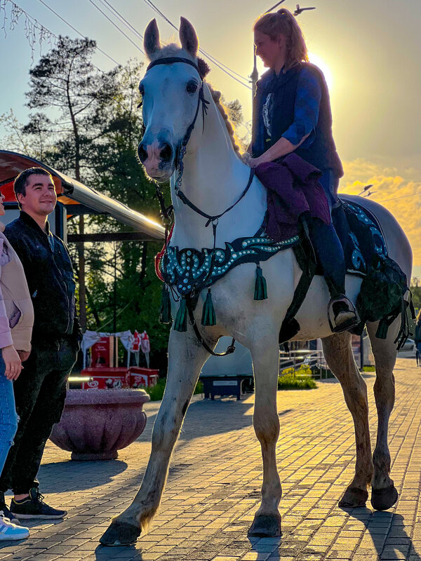 Красавец - Алексей Чуркин Красавец - Алексей Чуркин